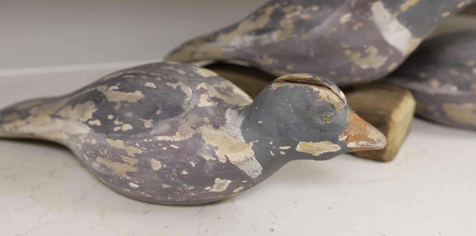 Four painted and carved pine decoy pigeons, largest 45cm long